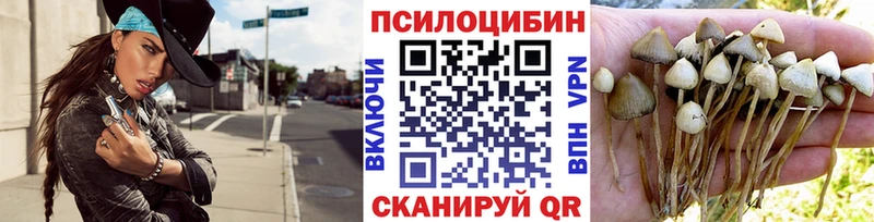 Галлюциногенные грибы мицелий Михайловка