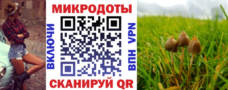 дарнет шоп  Михайловка  Галлюциногенные грибы мицелий 